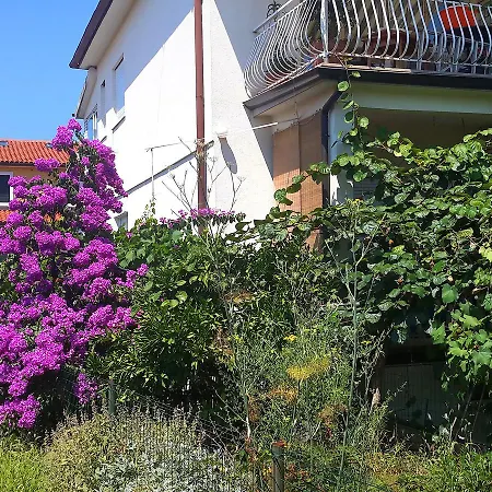 Cvjetna * Umag