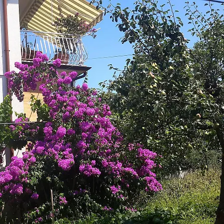 Διαμέρισμα Cvjetna Ουμάγκ
